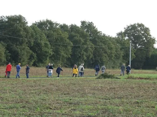 Combrée. La Rando de la Verzée fait son retour ce dimanche avec des...